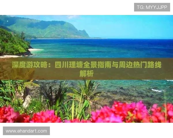 重庆羽毛球队的速度之美与技术探秘全景解析 重庆羽毛球队的速度之美与技术探秘全景解析