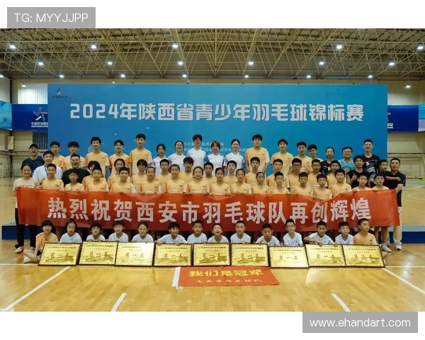 西安羽毛球队配合策略分析与实战应用探讨